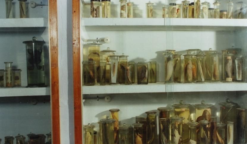 Bapatla College of Arts & Science Guntur Infrastructure photo 13