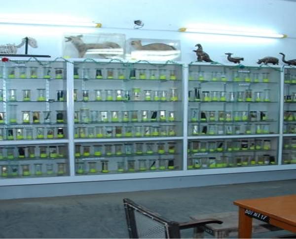 Tellakula Jalayya Polisetty Somasundaram College Guntur Campus photo 6