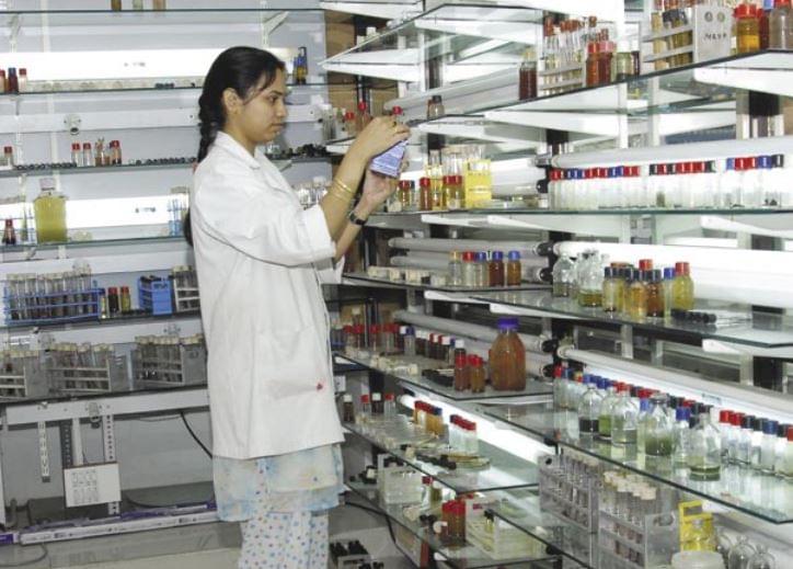 JNTUH, School of Management Studies Hyderabad Campus photo 11