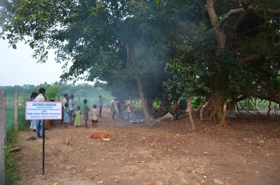 Fakir Mohan University Balasore Naac Team Visit photo 12