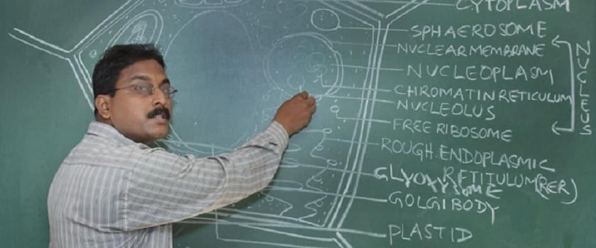 Royal School of Management and Technology Bhubaneswar Campus photo 2