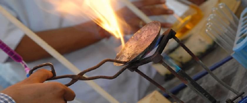 Royal School of Management and Technology Bhubaneswar Campus photo 6