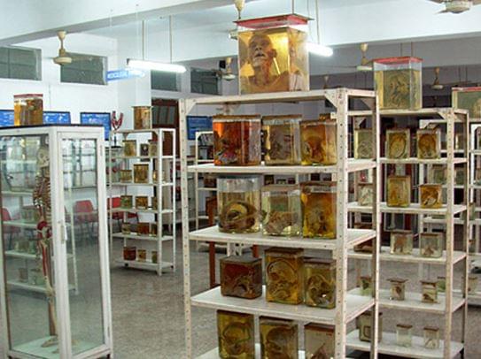 PTJNMC Raipur Campus photo 12