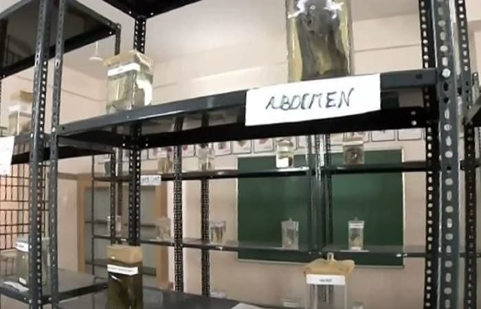 Government Tiruvannamalai Medical College & Hospital Campus photo 7