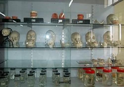 Nair Hospital Dental College Mumbai Campus photo 9