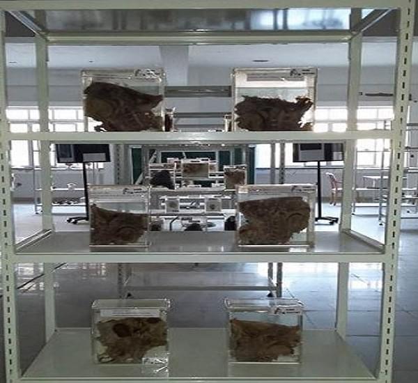 KIMS Karwar Campus photo 4