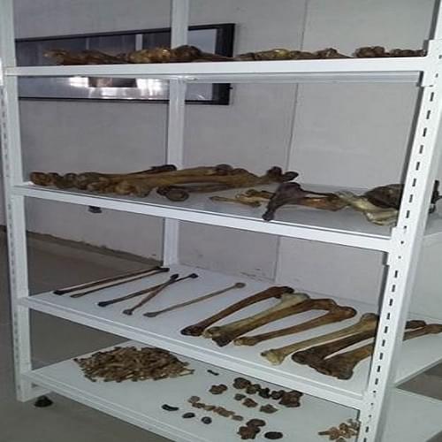 KIMS Karwar Campus photo 9