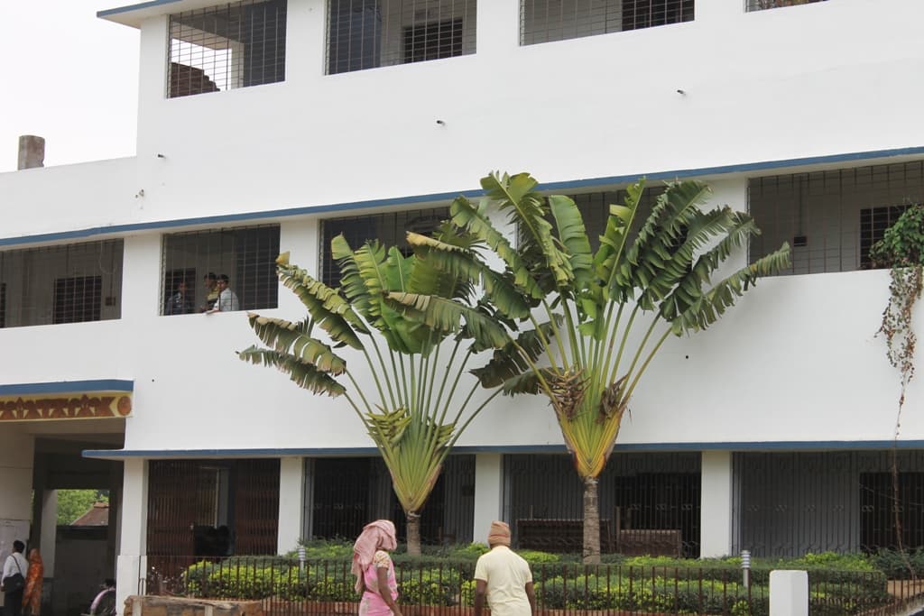 Gour Mahavidyalya Malda Campus photo 5