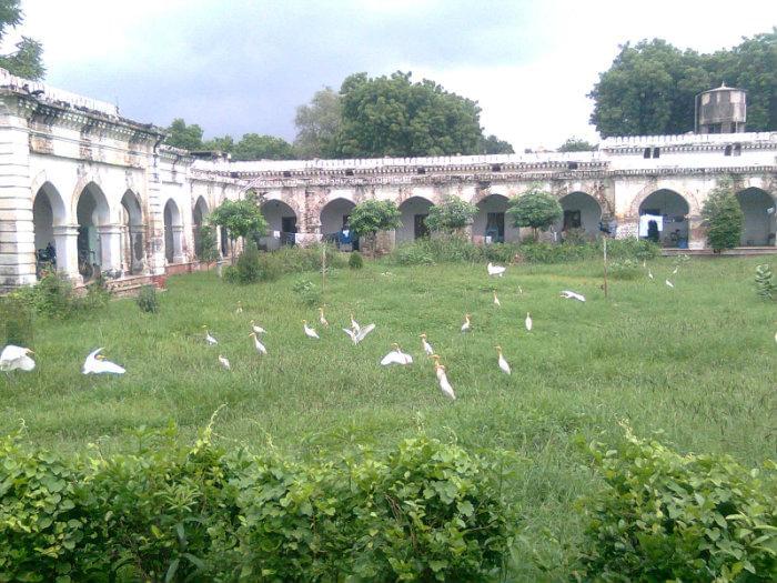 Allahabad University Campus photo 7