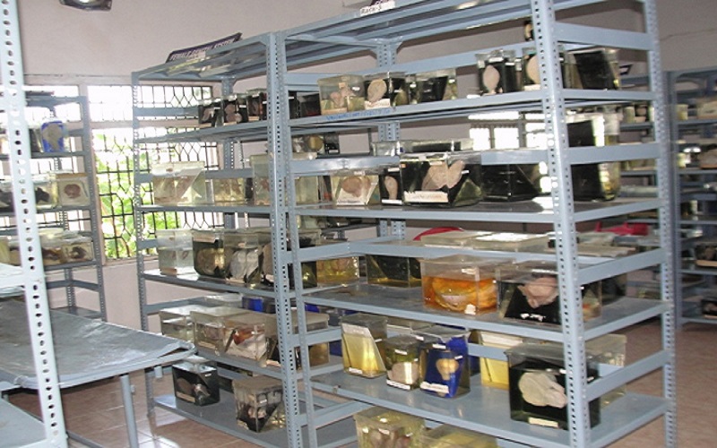 Aarupadai Veedu Medical College Pondicherry Facilities photo 10