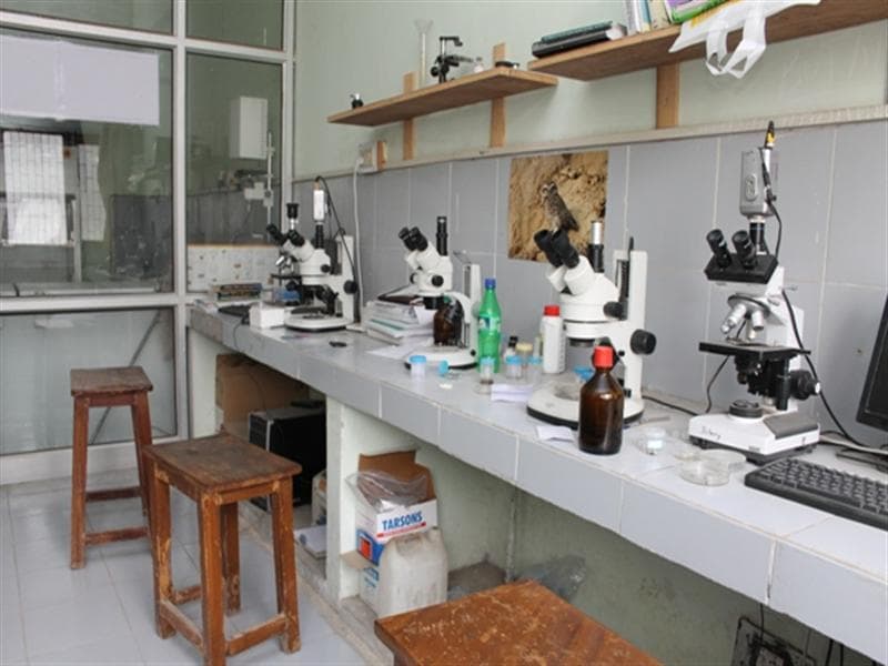 Government National college Sirsa Infrastructure photo 5