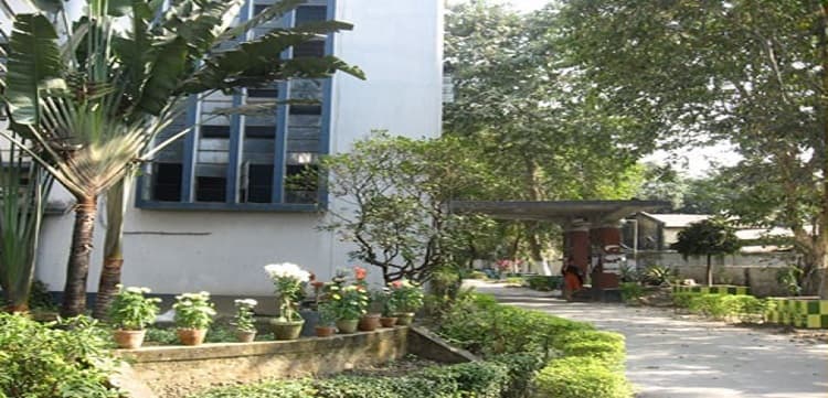 Sarojini Naidu College for Women Kolkata Academic Building photo 1
