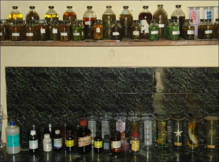 Poddar college of technology and management Bharatpur Infrastructure photo 4