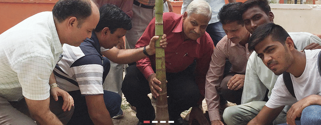 Maharana Pratap Government Post Graduate College Chittorgarh General photo 4