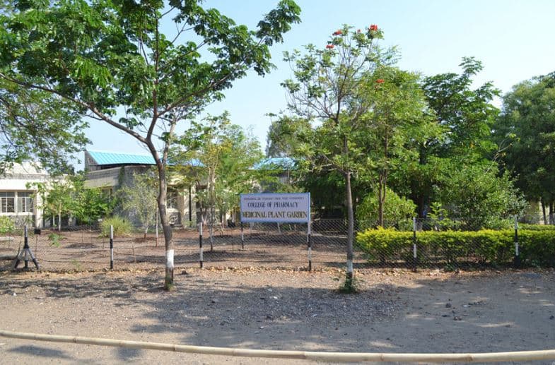 Dr. Vithalrao Vikhe Patil College of Pharmacy Ahmednagar Building & Infrastructure photo 11