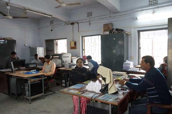 Netaji Subhas Mahavidyalaya Haldibari Campus photo 14