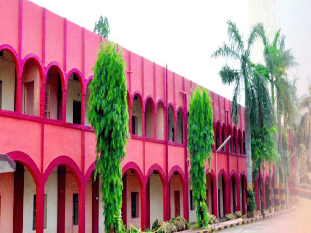 St. Thomas College Bhilai Building & Infrastructure photo 3