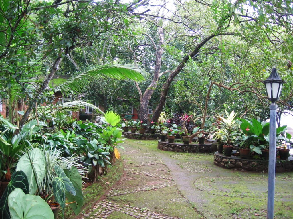 Centre for Development Studies Thiruvananthapuram Campus photo 1