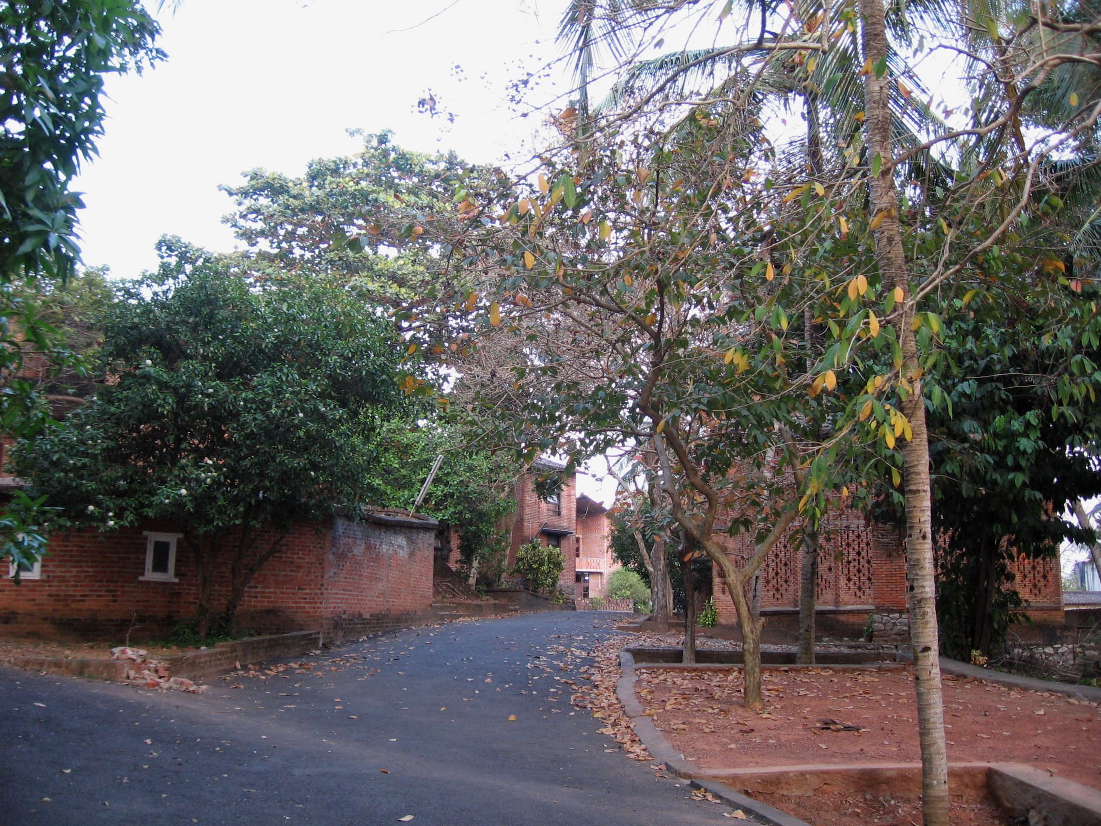 Centre for Development Studies Thiruvananthapuram Campus photo 8