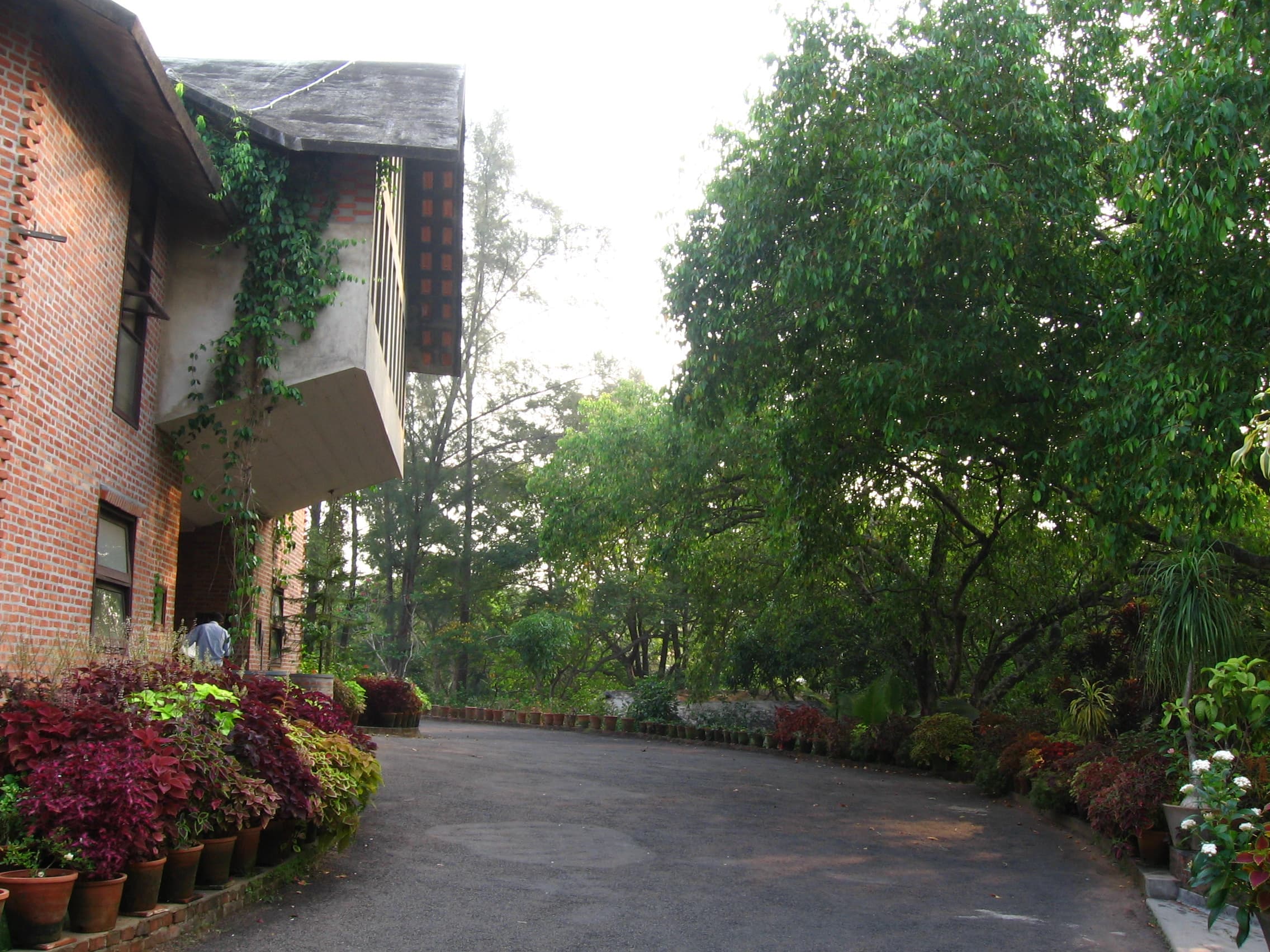 Centre for Development Studies Thiruvananthapuram Campus photo 10