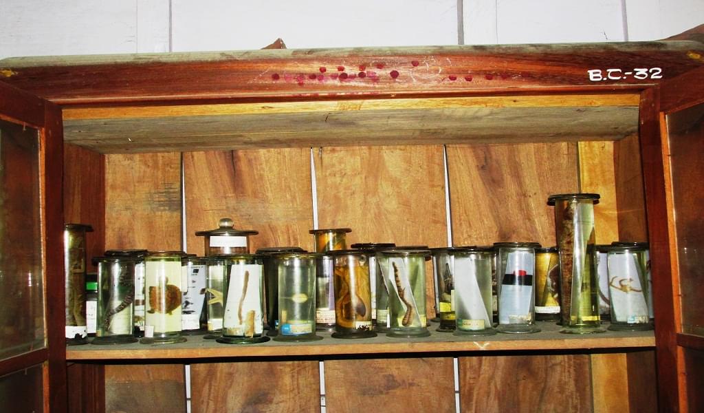 Bilasipara College, Bilasipara Dhubri Academic Building & Facilities photo 6