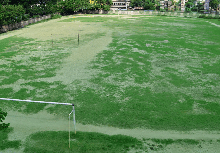 Acharya Prafulla Chandra College Kolkata Campus and Facilities photo 12