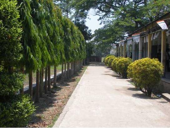 Gobardanga Hindu College North 24 Parganas Campus photo 4