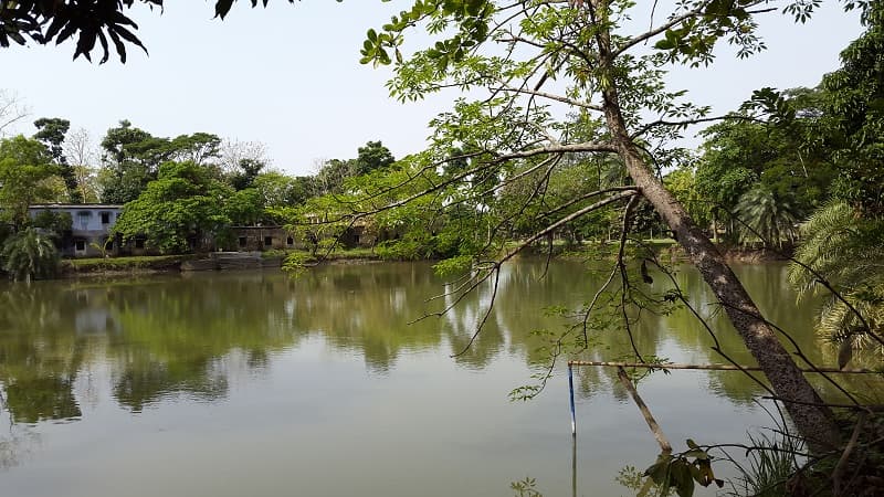Sundarban Hazi Desarat College South 24 Parganas campus photo 1