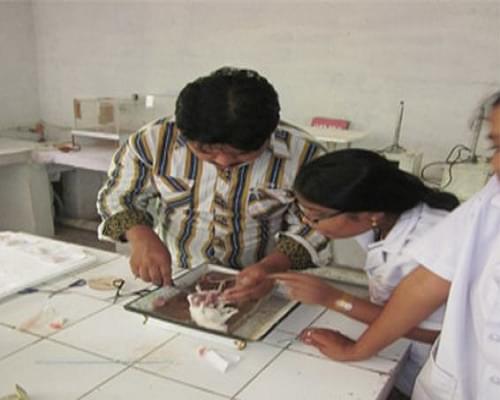 P. Rami Reddy Memorial College of Pharmacy Kadapa Infrastructure photo 4