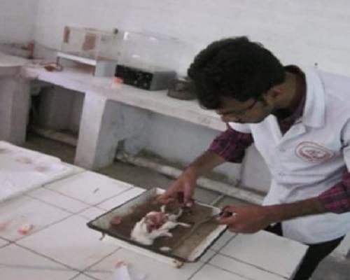 P. Rami Reddy Memorial College of Pharmacy Kadapa Infrastructure photo 6