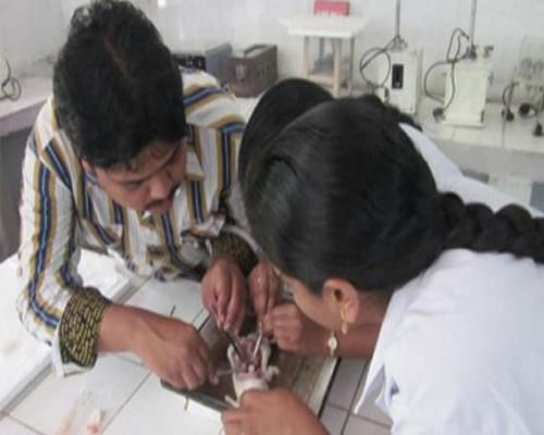 P. Rami Reddy Memorial College of Pharmacy Kadapa Infrastructure photo 8