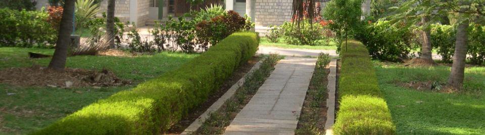 Vinayasadhana Institute of Formative Spirituality and Counselling Bangalore Campus photo 4