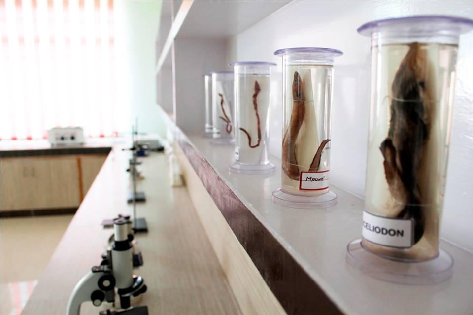 Digital Institute of Science and Technology Chhatarpur Infrastructure photo 11