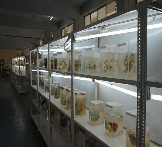 R.D Gardi College of Nursing Ujjain Campus photo 11