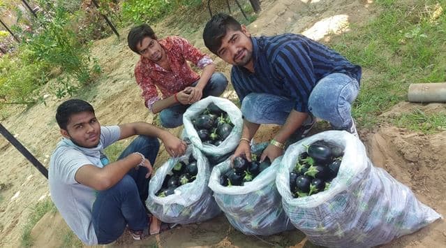 Rai School of Agriculture Ahmedabad Workshop photo 3