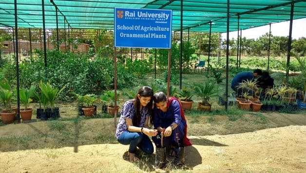 Rai School of Agriculture Ahmedabad Workshop photo 5