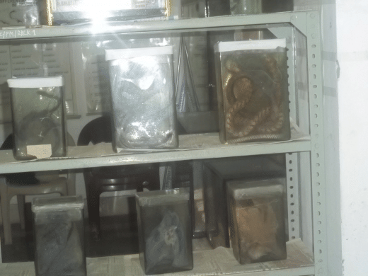 Anushree Homoeopathic Medical College Jabalpur Building & Infrastructure photo 6