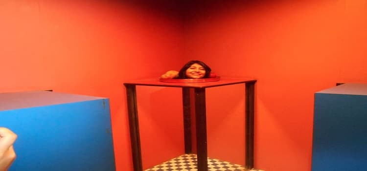 SDPS Women's College Indore Activities photo 5