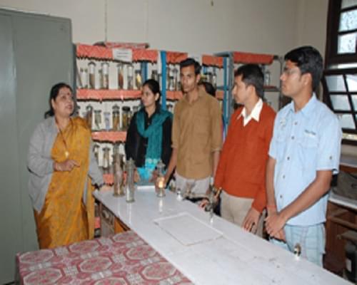 Government Motilal Vigyan Mahavidyalaya Bhopal Infrastructure photo 4