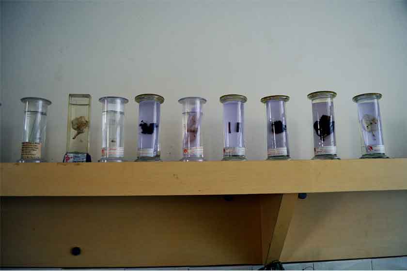 Gyanveer Institute of Management and Science Sagar Infrastructure photo 6