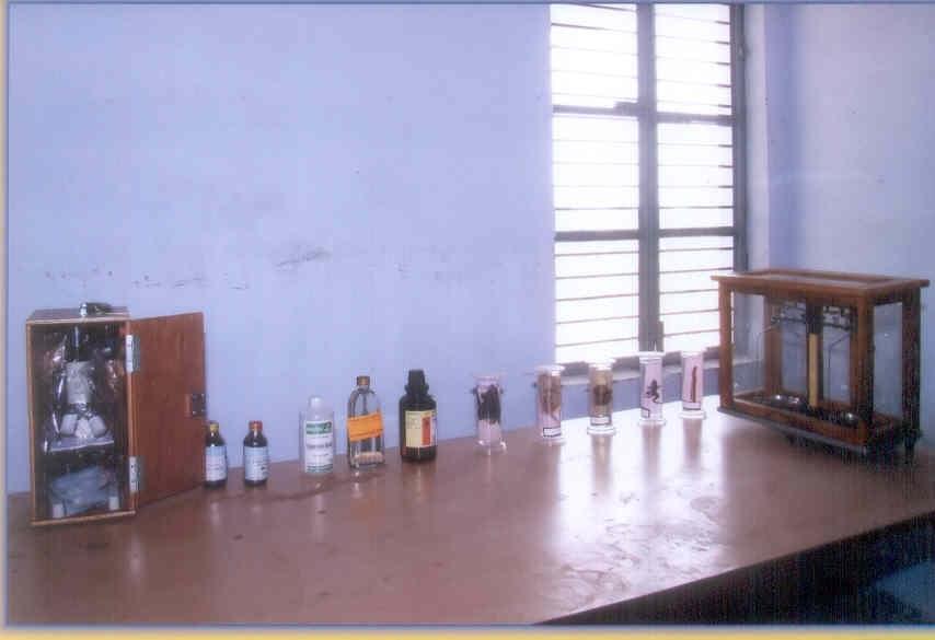 Pt. Deen Dayal Mahavidyalaya Bhind Infrastructure photo 7