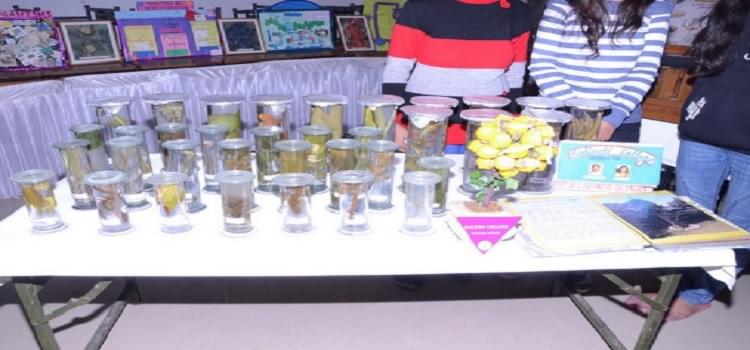 Kalindi College Infrastructure photo 1