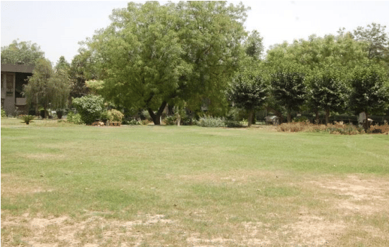 Motilal Nehru College Infrastructure photo 9