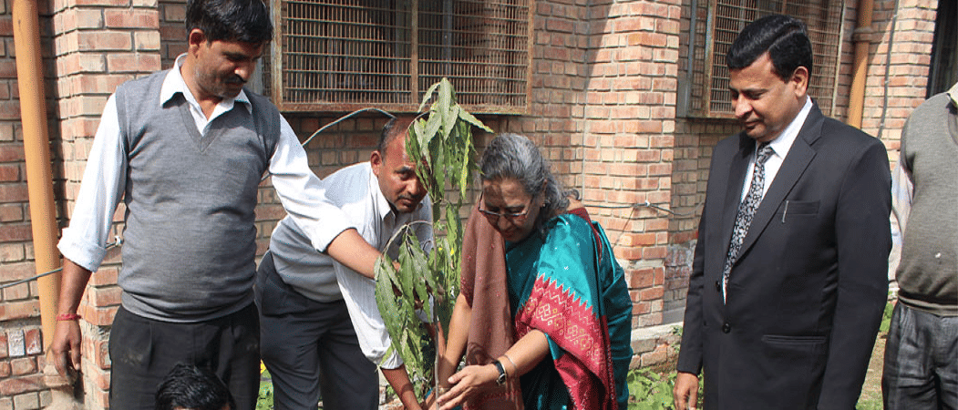 Bharati College Events photo 3