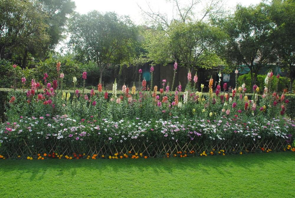 Maitreyi College Campus photo 6