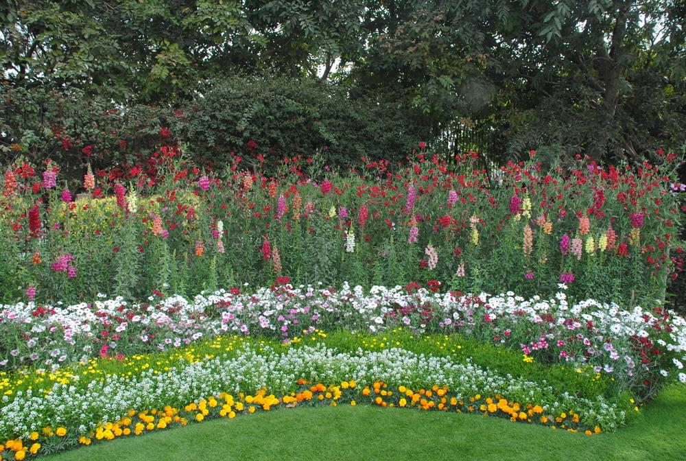 Maitreyi College Campus photo 7