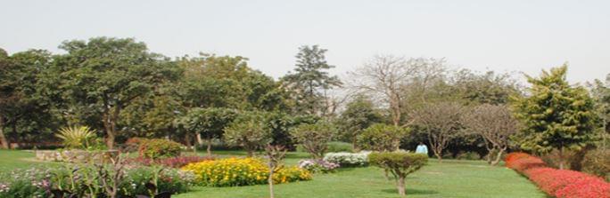 Maitreyi College Campus photo 12