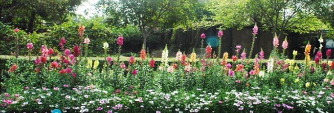 Maitreyi College Campus photo 13