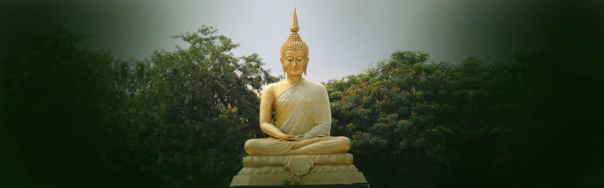 IIM Bodh Gaya Campus photo 12