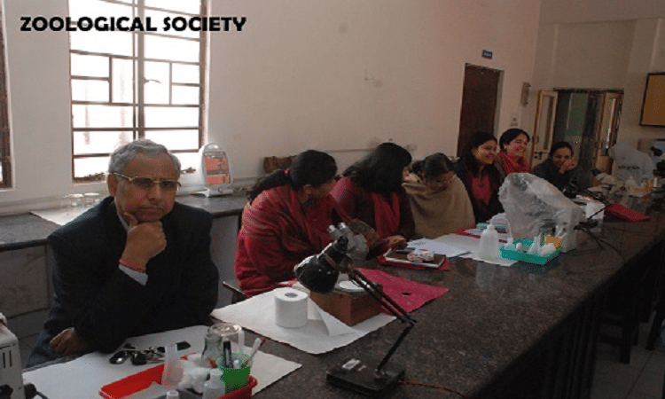 Daulat Ram College Building & Infrastructure photo 7